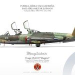 MODELO FOUGA MAGISTER ESCALA 1/72 CM 170